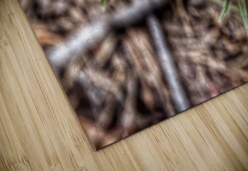 Wildflowers  JenMas puzzle