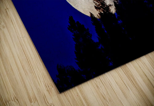 Full moon 2 JenMas puzzle