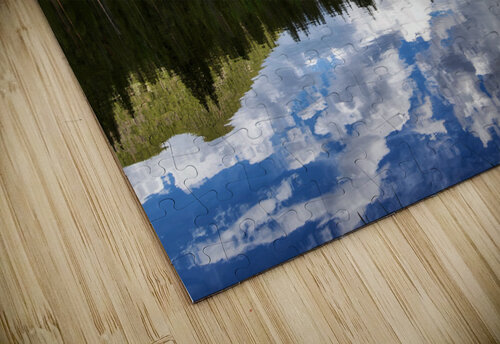 Reflection  JenMas puzzle