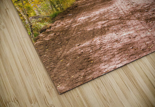 Golden trail JenMas puzzle