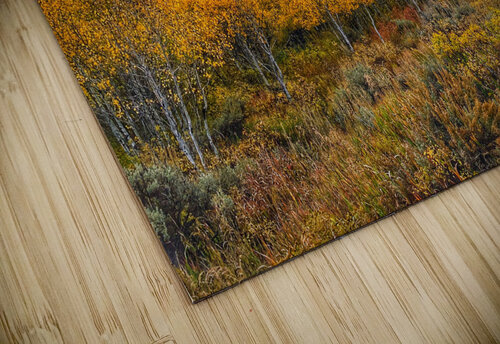 Dramatic fall colors JenMas puzzle