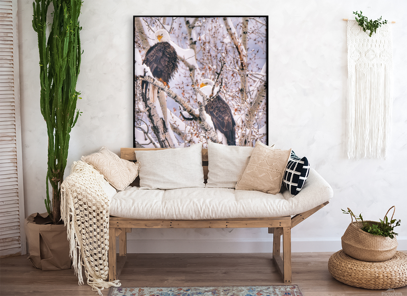 Love Birds Reproduction