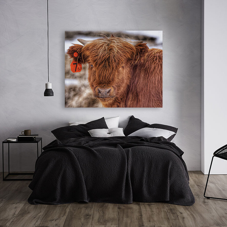 Cow Reproduction