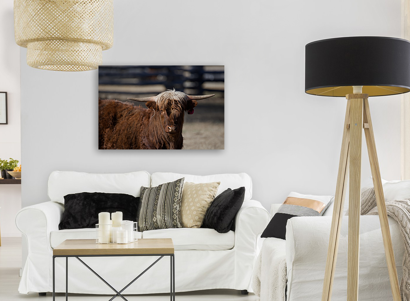 Highlander cow Reproduction