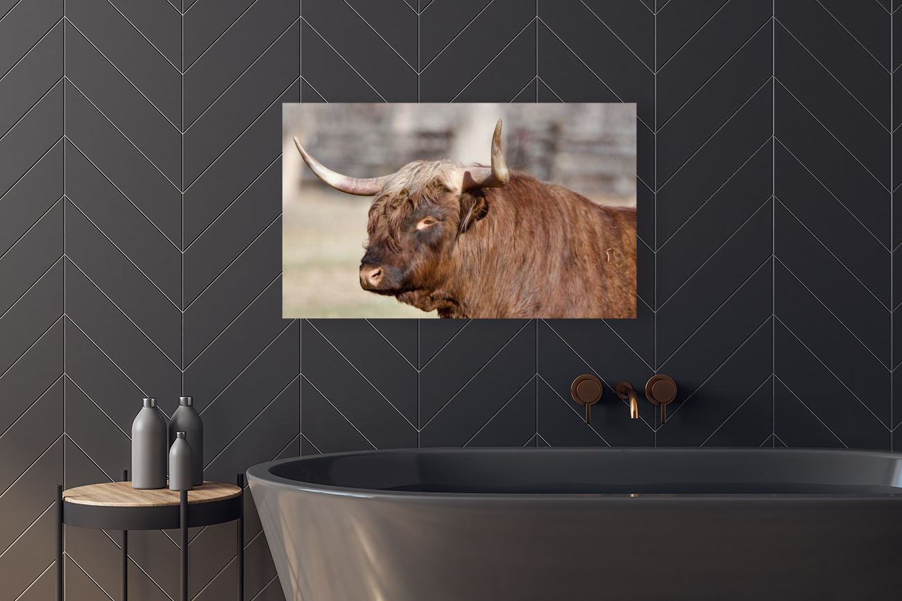 Handsome bull Reproduction