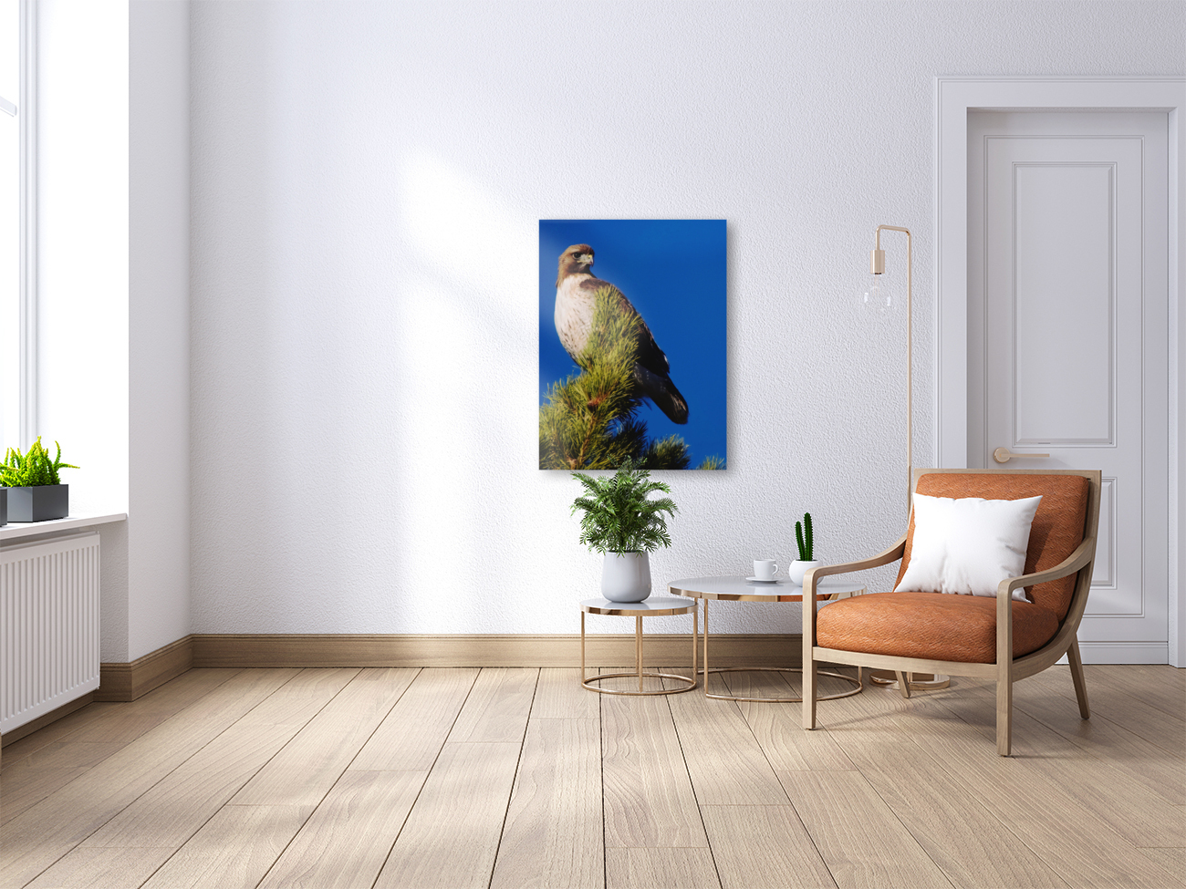 Red-tailed Hawk Reproduction