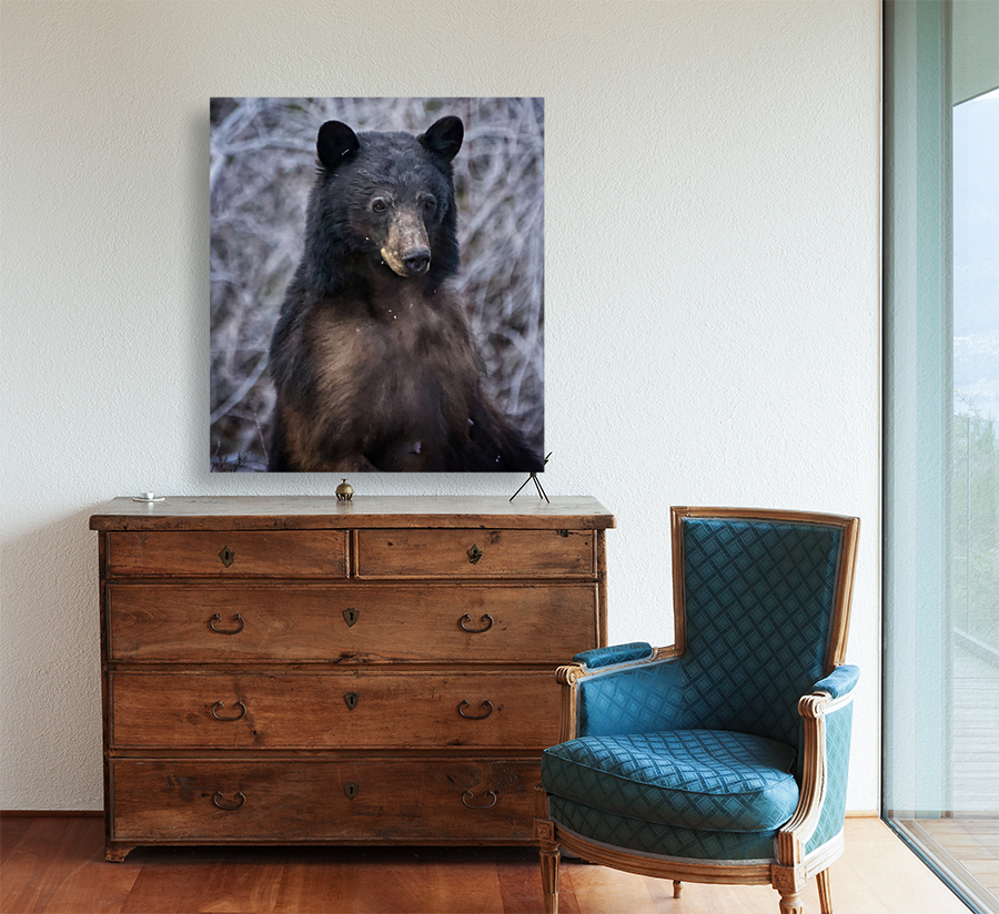 Mama Bear Reproduction