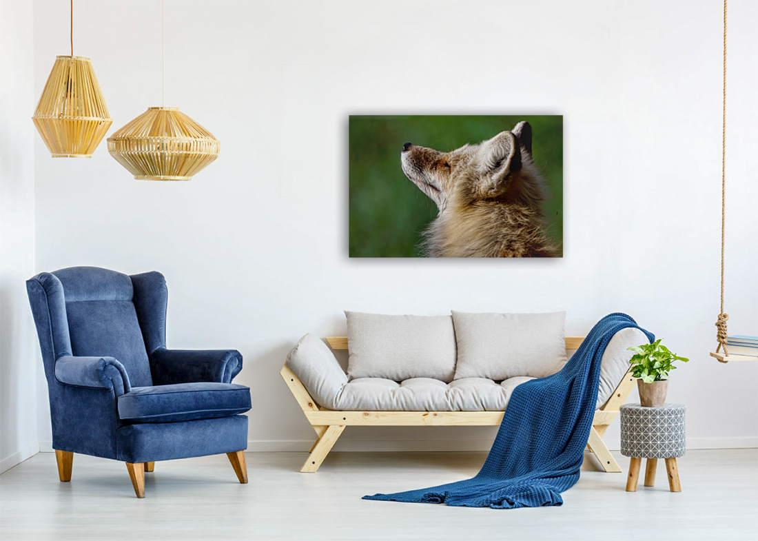 Always posing Reproduction