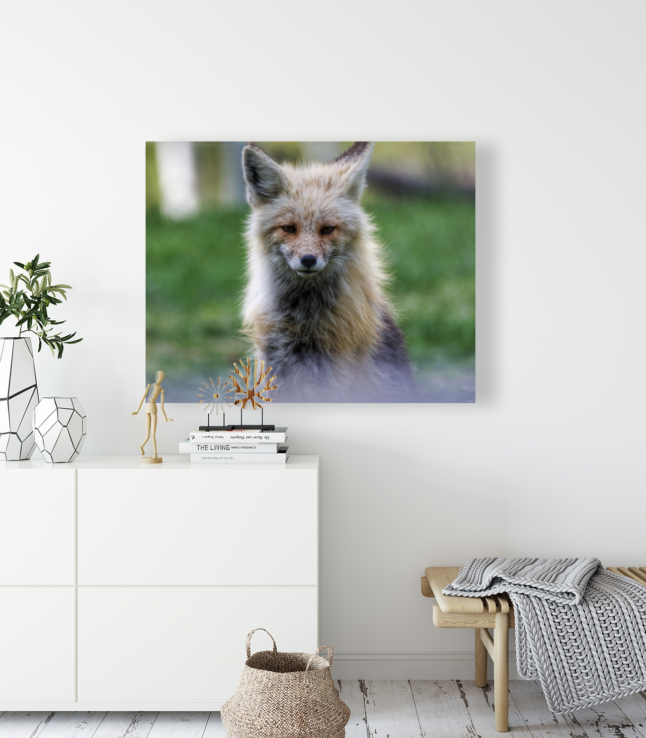 Handsome fox Reproduction