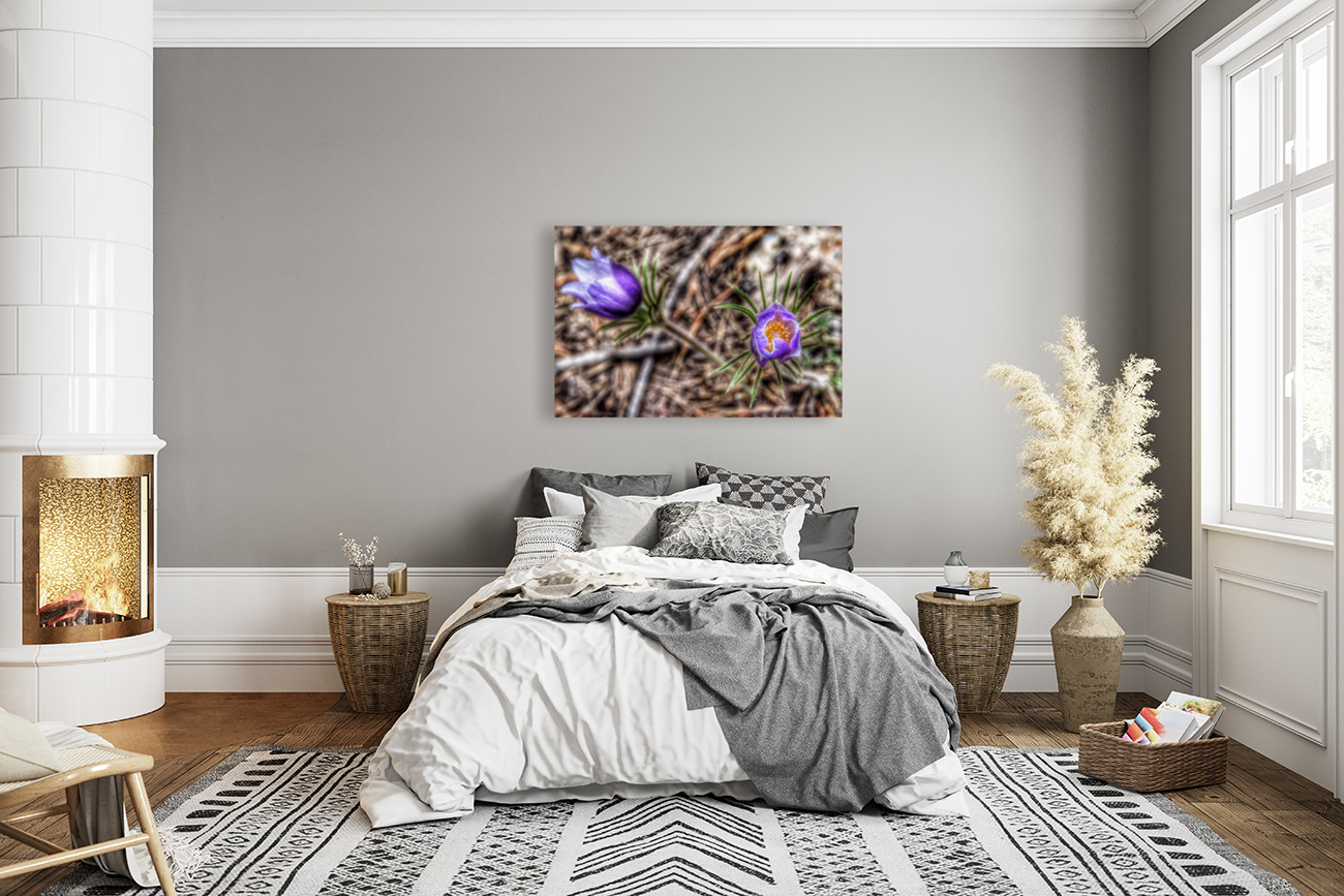 Wildflowers  Reproduction