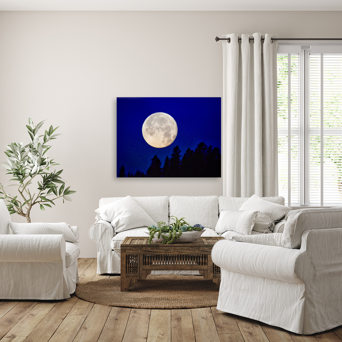 Full moon 1  Reproduction