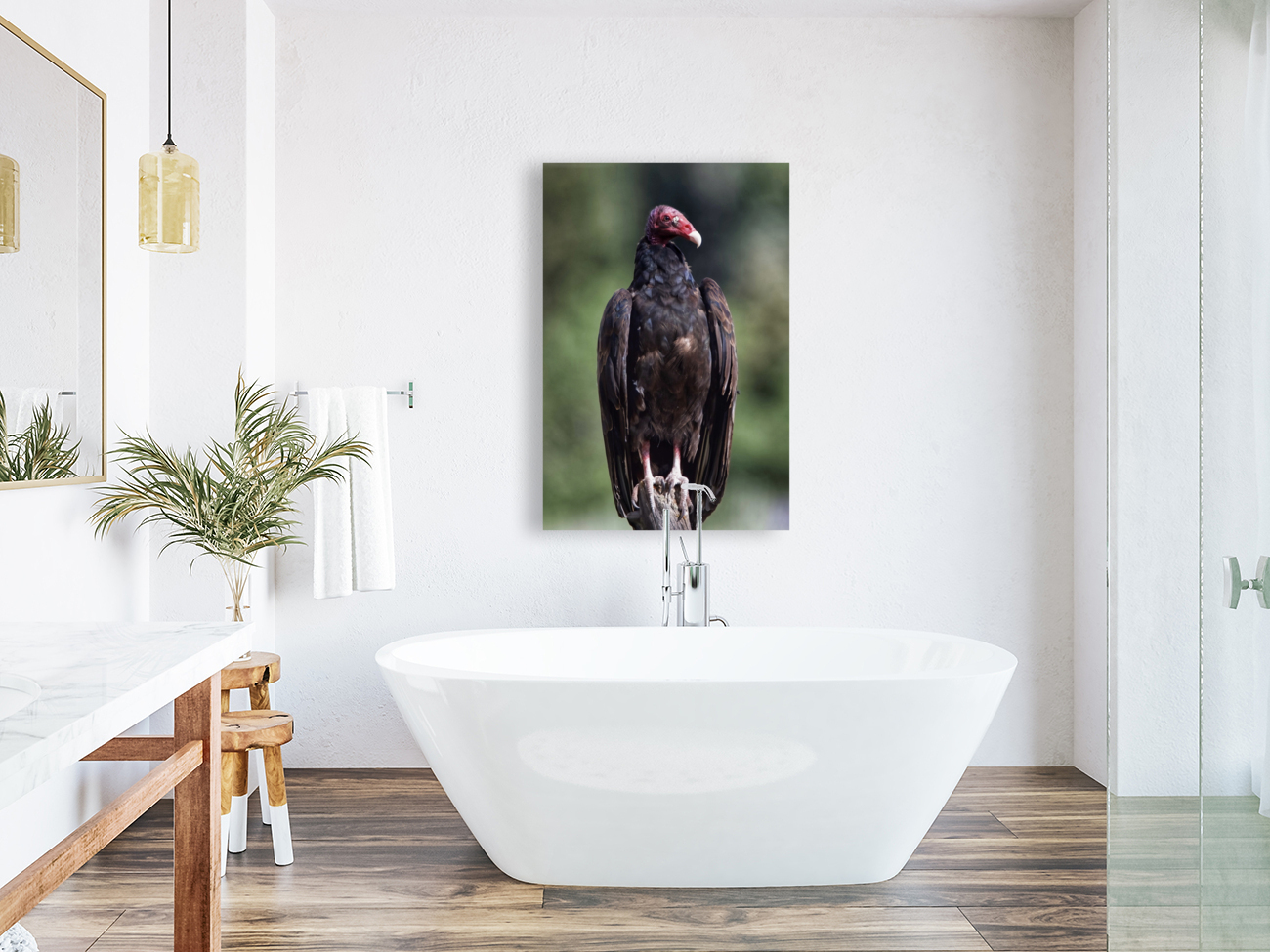 Turkey Vulture Reproduction
