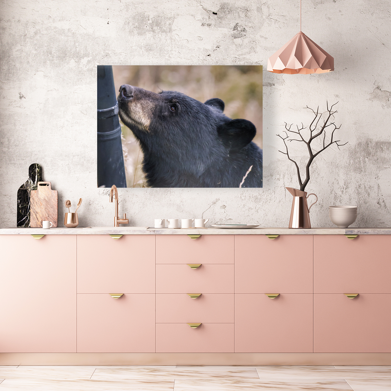 Black bear Reproduction