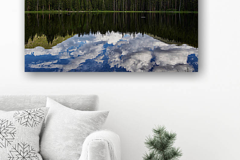Reflection  Reproduction