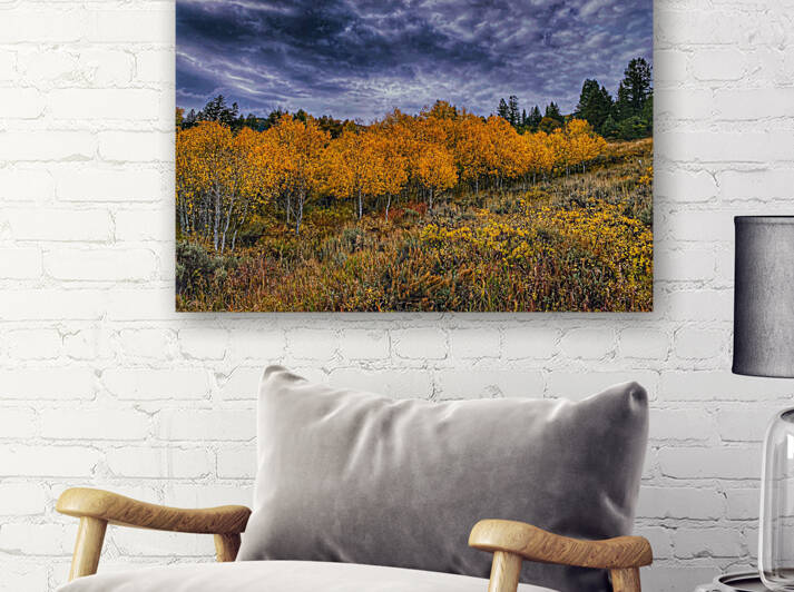 Dramatic fall colors Reproduction