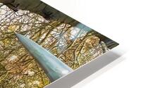 IMG 0677 HD Metal print