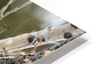 Whats up there HD Metal print