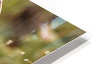 Lunch time HD Metal print