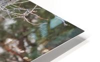 Good thing its empty HD Metal print