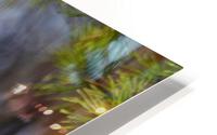 Marmot HD Metal print
