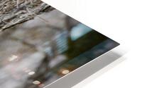 Still empty... HD Metal print