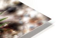 Wildflowers  HD Metal print