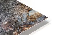 Simple and uncomplicated HD Metal print