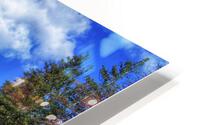 Fall drive  HD Metal print
