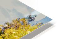 Golden trail HD Metal print