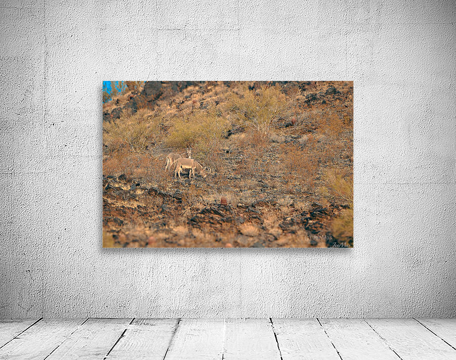 DSC 5281 Wall Preview