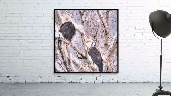 Love Birds Wall Preview