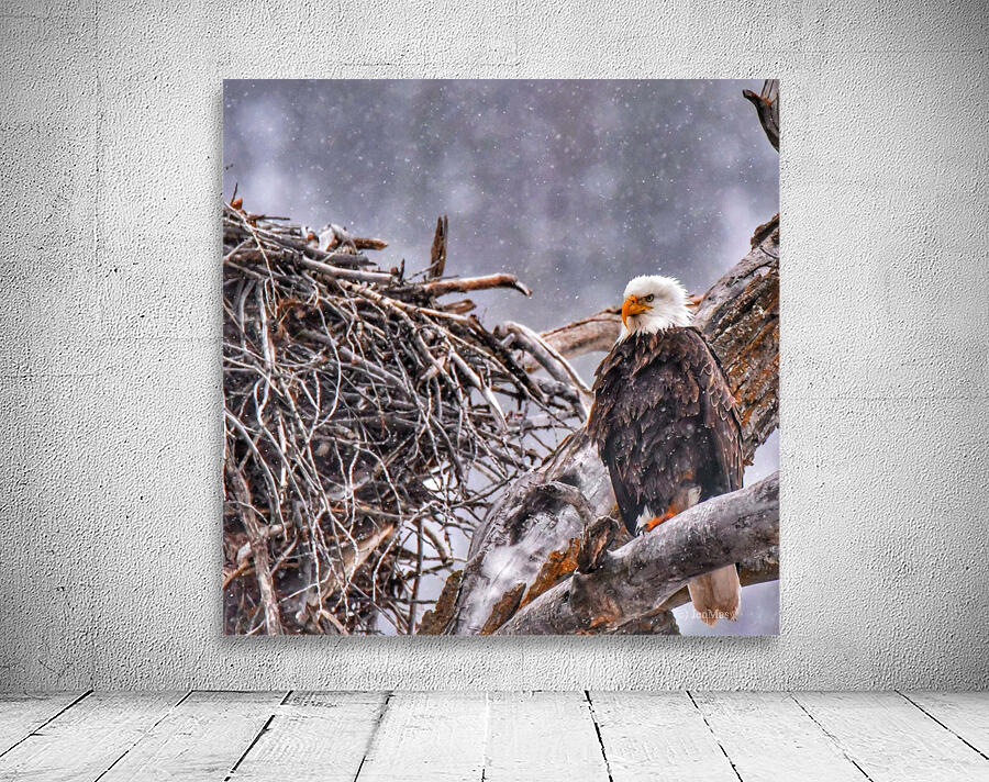 Guarding the nest Wall Preview