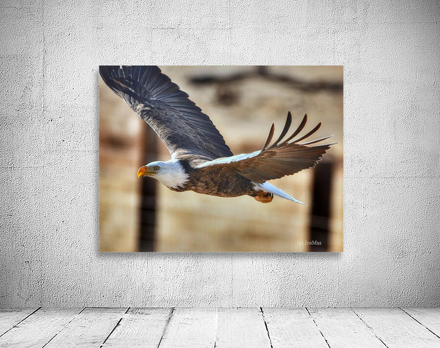 Flying eagle Wall Preview