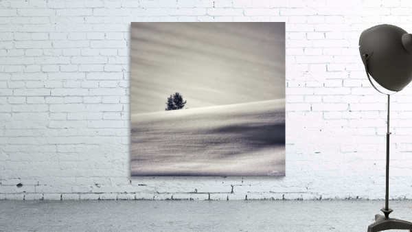 Lone tree Wall Preview