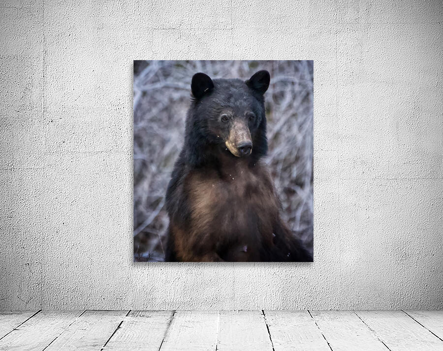 Mama Bear Wall Preview