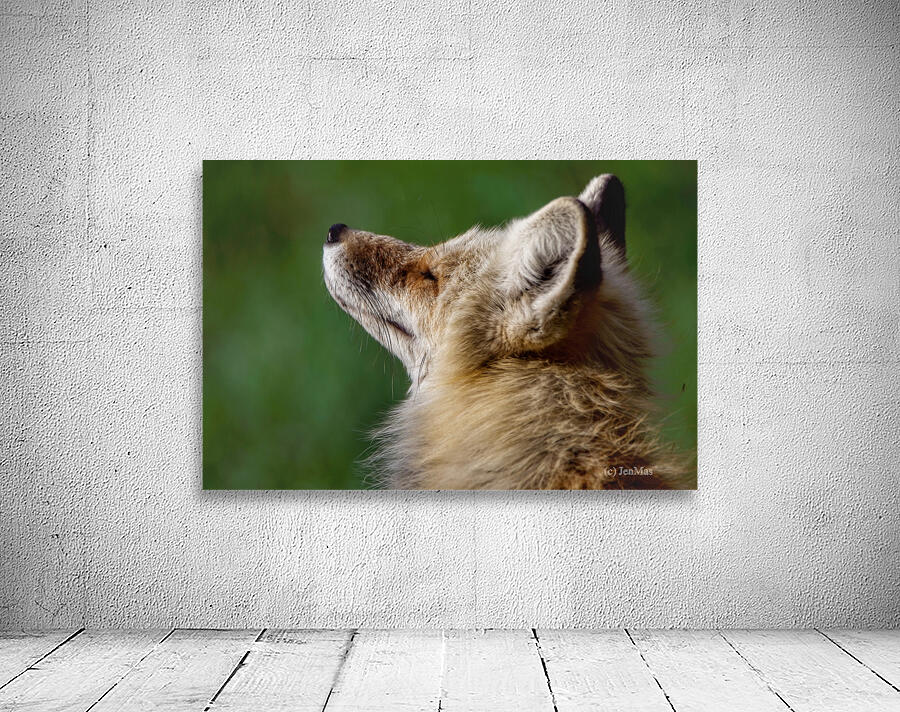 Always posing Wall Preview