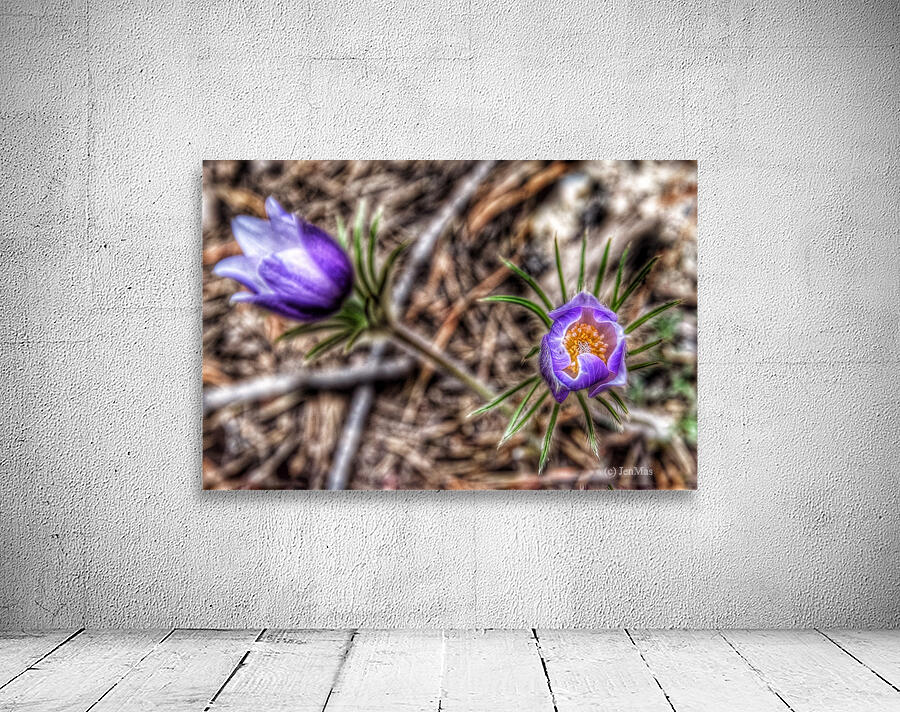 Wildflowers  Wall Preview