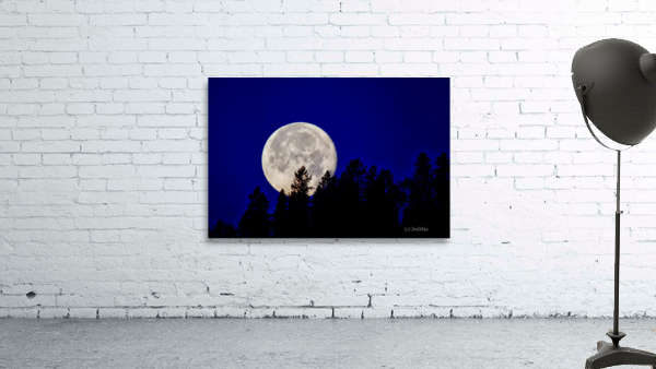 Full moon 2 Wall Preview
