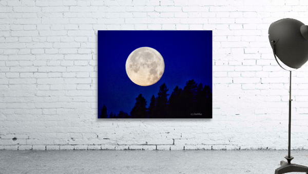 Full moon 1  Wall Preview