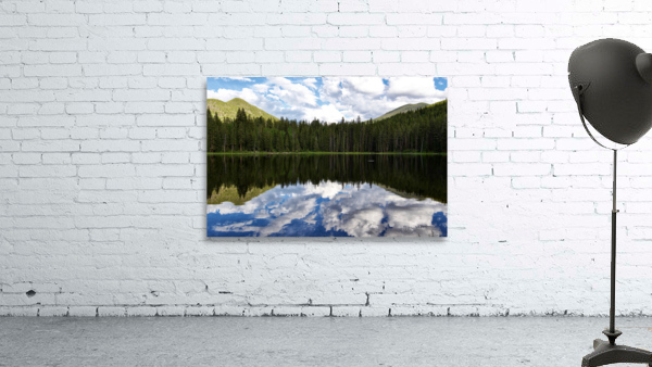 Reflection  Wall Preview