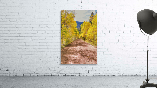 Golden trail Wall Preview