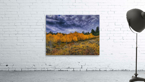 Dramatic fall colors Wall Preview