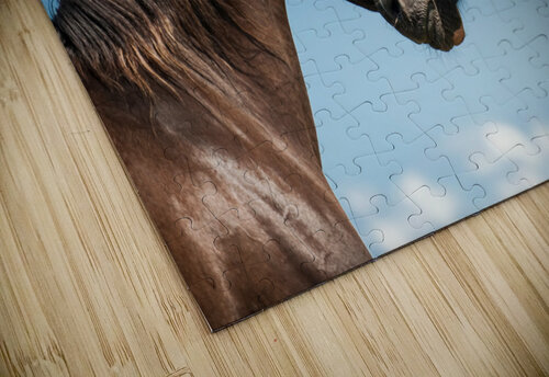 two horses background sky Paul Oketta Yot puzzle