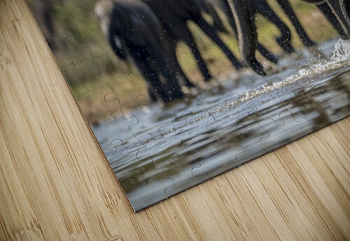 elephants drinking water Paul Oketta Yot puzzle