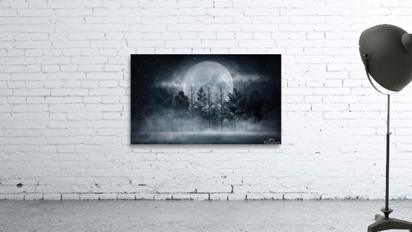 dark abstract winter forest background  1  Wall Preview