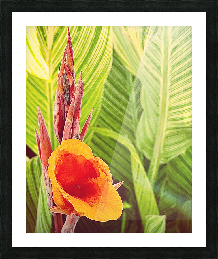 Exotic Summer Picture Frame print