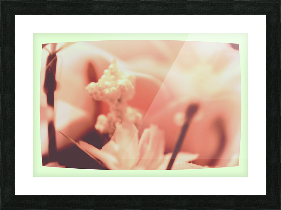 Technicolor Blooms Picture Frame print