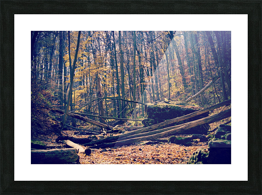 Waterless Fall Picture Frame print