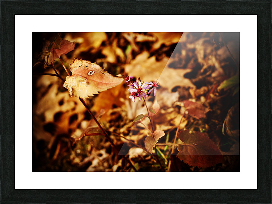 Autumns Struggle Picture Frame print