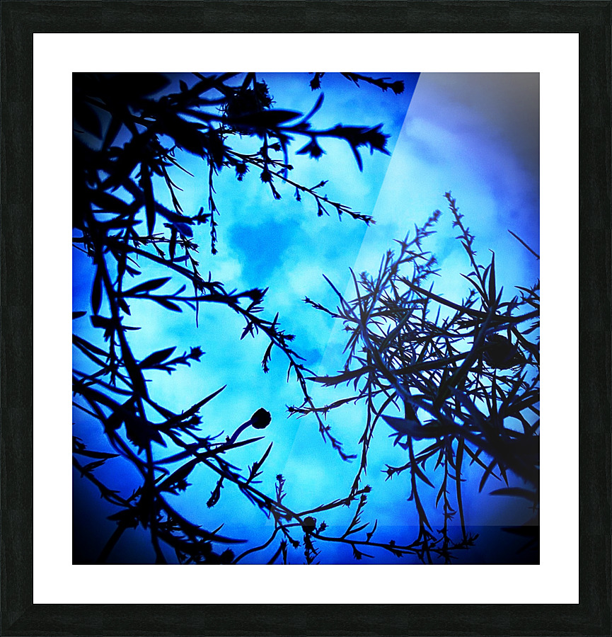 Blue moon  Picture Frame print